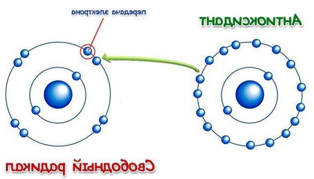 продукты богатые антиоксидантами