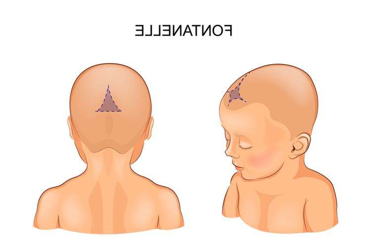 большой родничок у новорожденного