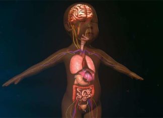 Причини зміни рівня лужної фосфатази у дітей