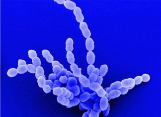 Симптоми та лікування скарлатини у дітей