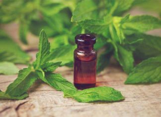 Як використовувати настоянку перцевої мяти для волосся?