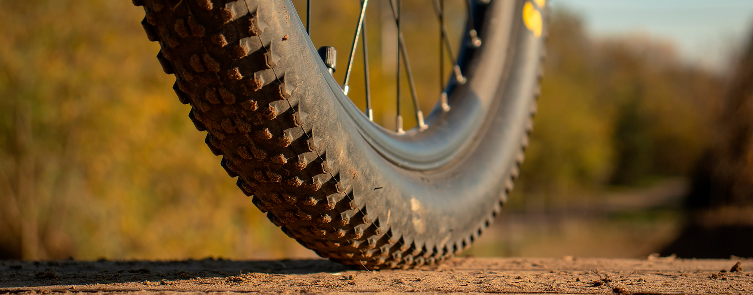 велосипедные покрышки крупным планом на ободе
