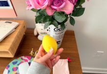 Лимон Ненсі: Іграшка з вакуумним ефектом, що переосмислює особисту насолоду