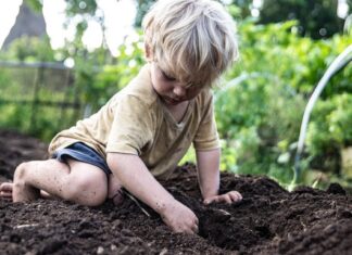 Нешкольное образование: Что происходит, когда дети учатся без уроков?