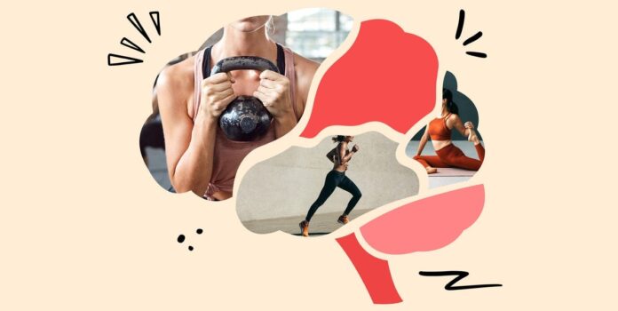 5396b13e-89bf-4f36-9cf4-af78ba925b04