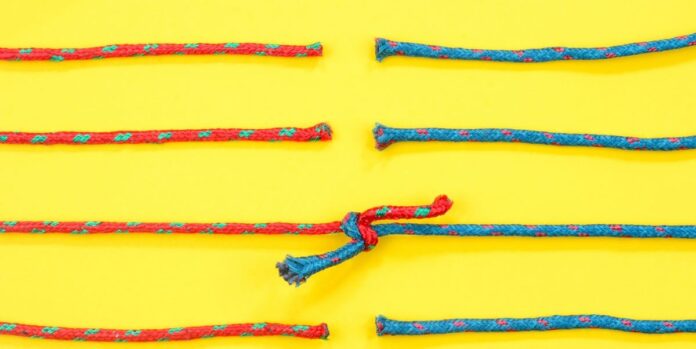 c9d0881c-dfa4-468a-936d-fd4d5b05b7a6