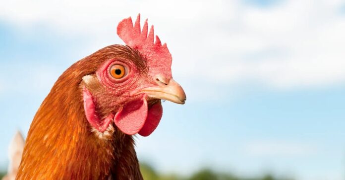 17637260-2ebe-42d5-960a-5ed530b729a7