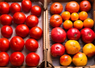 Proč musíte rajčata skladovat dnem vzhůru: snadný způsob, jak si zachovat čerstvost 🍅